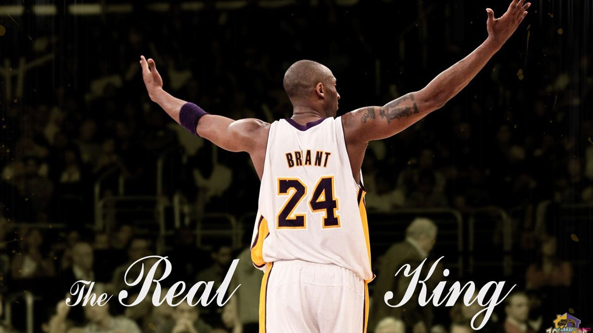 MAD带队取胜！，科维托娃重要时刻败北引发球迷热议